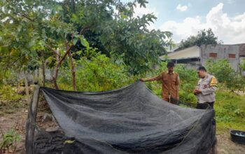 Bhabinkamtibmas Gelogor Dorong Warga Tanam Pangan di Halaman Rumah