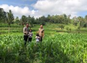 Polri Dampingi Ketahanan Pangan di Desa Mareje