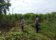 Peran Aktif Polisi Desa Sekotong Barat Dorong Produktivitas Petani