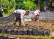 Ketahanan Pangan Dimulai dari Pekarangan: Inisiatif Polri di Kuripan