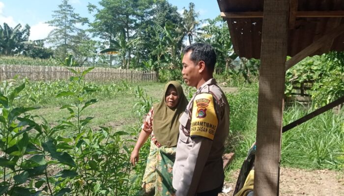 Sinergi Polisi dan Petani di Bawak Gunung Wujudkan Kemandirian Pangan