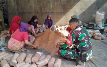 Budidaya Jamur Tiram Bangkitkan Ekonomi Warga Medas Barat