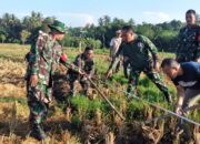 TNI, Warga, dan Pemerintah Bahu-Membahu Bangun Jalan Usaha Tani di Merembu
