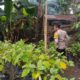 Pemuda Kuripan Utara Sulap Pekarangan Jadi Kebun Pangan Mandiri