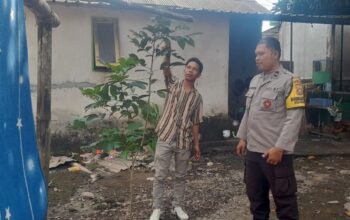 Bhabinkamtibmas Dorong Ketahanan Pangan dari Pekarangan Warga Kuripan