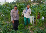 Sinergi Polri dan Petani Dusun Grepek Perkuat Program Ketahanan Pangan Nasional