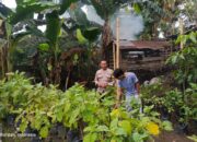 Sinergi Bhabinkamtibmas dan Pemuda di Kuripan Utara untuk Pangan
