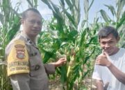 Sinergi Polri dan Petani di Kediri Dukung Swasembada Pangan