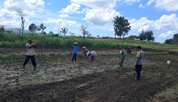 Bhabinkamtibmas Sekotong Aktif Dukung Ketahanan Pangan
