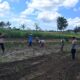 Peran Polri Dalam Swasembada Pangan di Sekotong, NTB