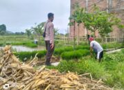 Peran Aktif Polri dalam Swasembada Pangan di NTB