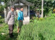 Sinergi Polri dan Petani: Ketahanan Pangan Dimulai dari Nyiur Gading