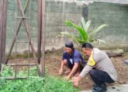 Ketahanan Pangan Dimulai dari Pekarangan: Inisiatif di Dusun Batusamban
