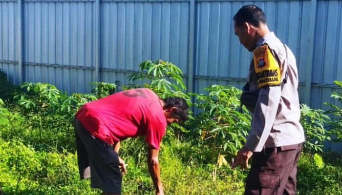 Bhabinkamtibmas Senteluk Edukasi Warga Manfaatkan Pekarangan