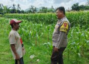 Bhabinkamtibmas Lembar Galakkan Swasembada Pangan di NTB