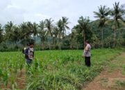 Aparat Dampingi Petani: Edukasi dan Motivasi di Desa Giri Tembesi