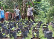 Dukung Swasembada Pangan, Bhabinkamtibmas Desa Batulayar Turun ke Lapangan