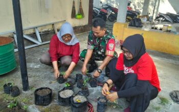 Babinsa Punia Ajak Warga Manfaatkan Pekarangan dengan Menanam Cabai