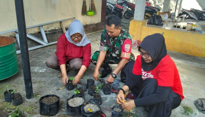 Babinsa Punia Ajak Warga Manfaatkan Pekarangan dengan Menanam Cabai