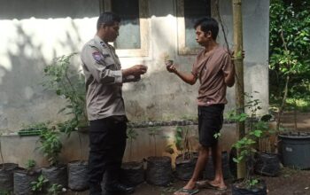 Batulayar Bangkitkan Ketahanan Pangan Lewat Pekarangan Bergizi