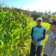 pertanian, polisi, jagung, Mareje, Lembar, pangan, petani, desa, keamanan, panen