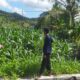 Polri Dampingi Petani di Desa Batu Putih