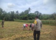 Sinergi Polisi dan Petani di Banyumulek Perkuat Ketahanan Pangan Lokal