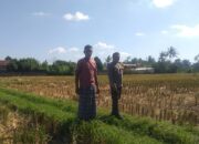 Sinergi Polri dan Warga Kuripan Majukan Kemandirian Pangan Rumah Tangga