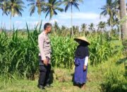 Polisi Sambangi Petani Jagung Eyat Mayang, Bangun Ketahanan Pangan Lokal