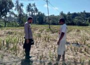 Bhabinkamtibmas Kuripan Galakkan Ketahanan Pangan Rumah Tangga