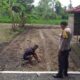 DDS Bhabinkamtibmas Kuripan Timur: Komunikasi Humanis untuk Ketahanan Pangan
