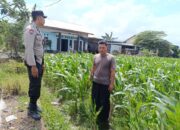 Bhabinkamtibmas Labuapi Dorong Pemanfaatan Lahan Kosong untuk Ketahanan Pangan