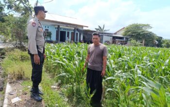 Sinergi Polri dan Petani di Labuapi: Wujudkan Desa Tangguh Pangan dan Aman