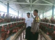 Sinergi Polisi dan Warga Sekotong Bangun Ketahanan Pangan Keluarga
