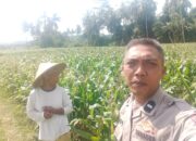 Bhabinkamtibmas Kuripan Gagas Ketahanan Pangan dari Pekarangan Rumah