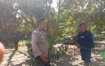 Ketahanan Pangan Desa Merembu Didorong Lewat Jalan Usaha Tani Baru