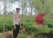 Bhabinkamtibmas Kediri Turun ke Sawah, Dorong Kemandirian Pangan Warga
