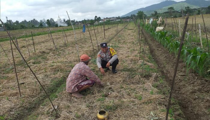 Sinergi Polri-Masyarakat di Jagaraga: Pekarangan Rumah Jadi Sumber Pangan Mandiri