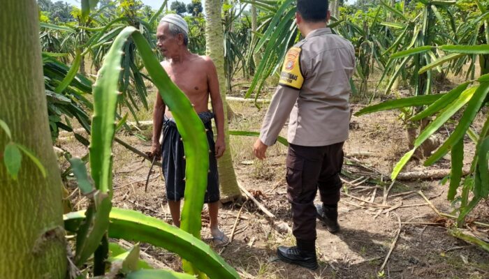 Polisi Desa di Gelogor Aktif Dampingi Petani Lindungi Tanaman