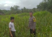 Sinergi Polisi dan Petani di Sekotong: Wujudkan Ketahanan Pangan dari Pekarangan