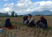 Ketahanan Pangan Dimulai dari Desa: Inisiatif Bhabinkamtibmas Babussalam
