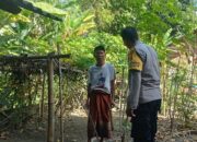 Ketahanan Pangan Dimulai dari Pekarangan: Inisiatif di Desa Babussalam
