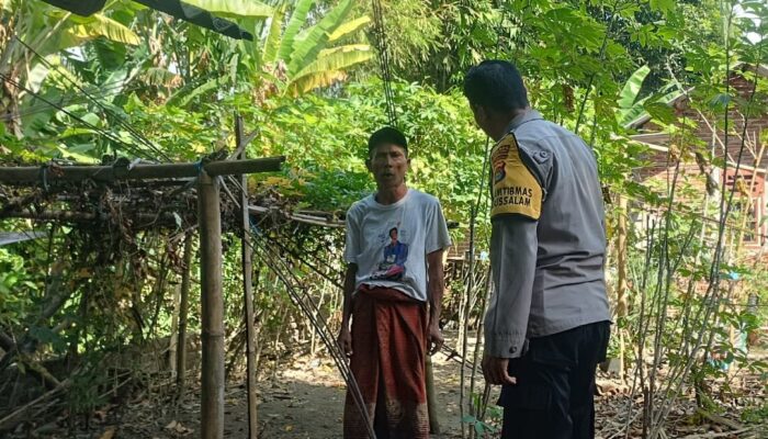 Ketahanan Pangan Dimulai dari Pekarangan: Inisiatif di Desa Babussalam