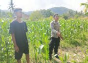 Sinergi Polri dan Petani: Aksi Bhabinkamtibmas Cendi Manik di Dusun Sayong Apit Aik