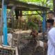 Polsek Batulayar Dorong Ketahanan Pangan Warga Senggigi melalui Edukasi Pertanian