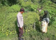 Polsek Kediri Dorong Ketahanan Pangan Warga Montong Are