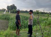 Bhabinkamtibmas Edukasi Petani Kuripan Utara Soal Ketahanan Pangan