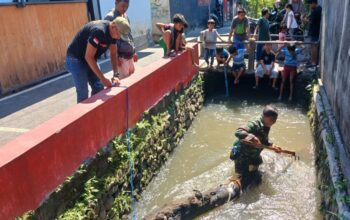 Sungai Tersumbat, Babinsa dan Warga Turun Tangan