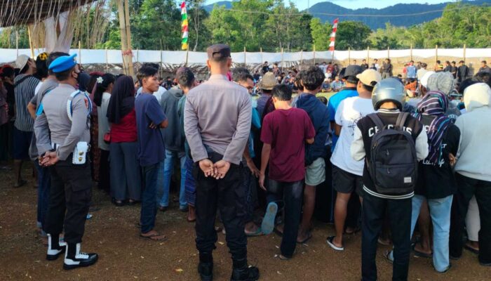 Paguyuban Patih Girang Rayakan Ulang Tahun dengan Peresean di Mareje Timur