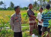 Dukung Ketahanan Pangan, Polisi Sambangi Petani Padi di Rumak Barat Selatan